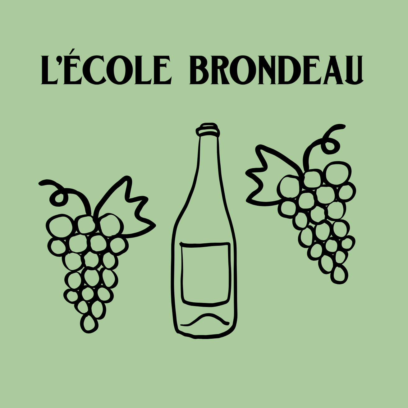 Wine Class: Wines of South America