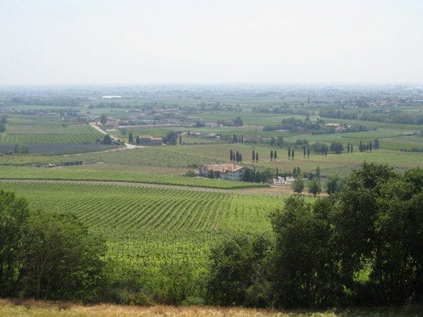 Exploring Italian Wines