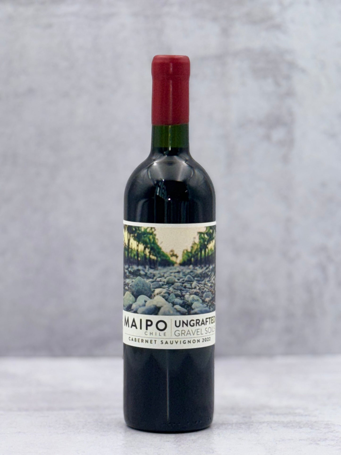 2022 Ungrafted, Cabernet Sauvignon Valle Del Maipo