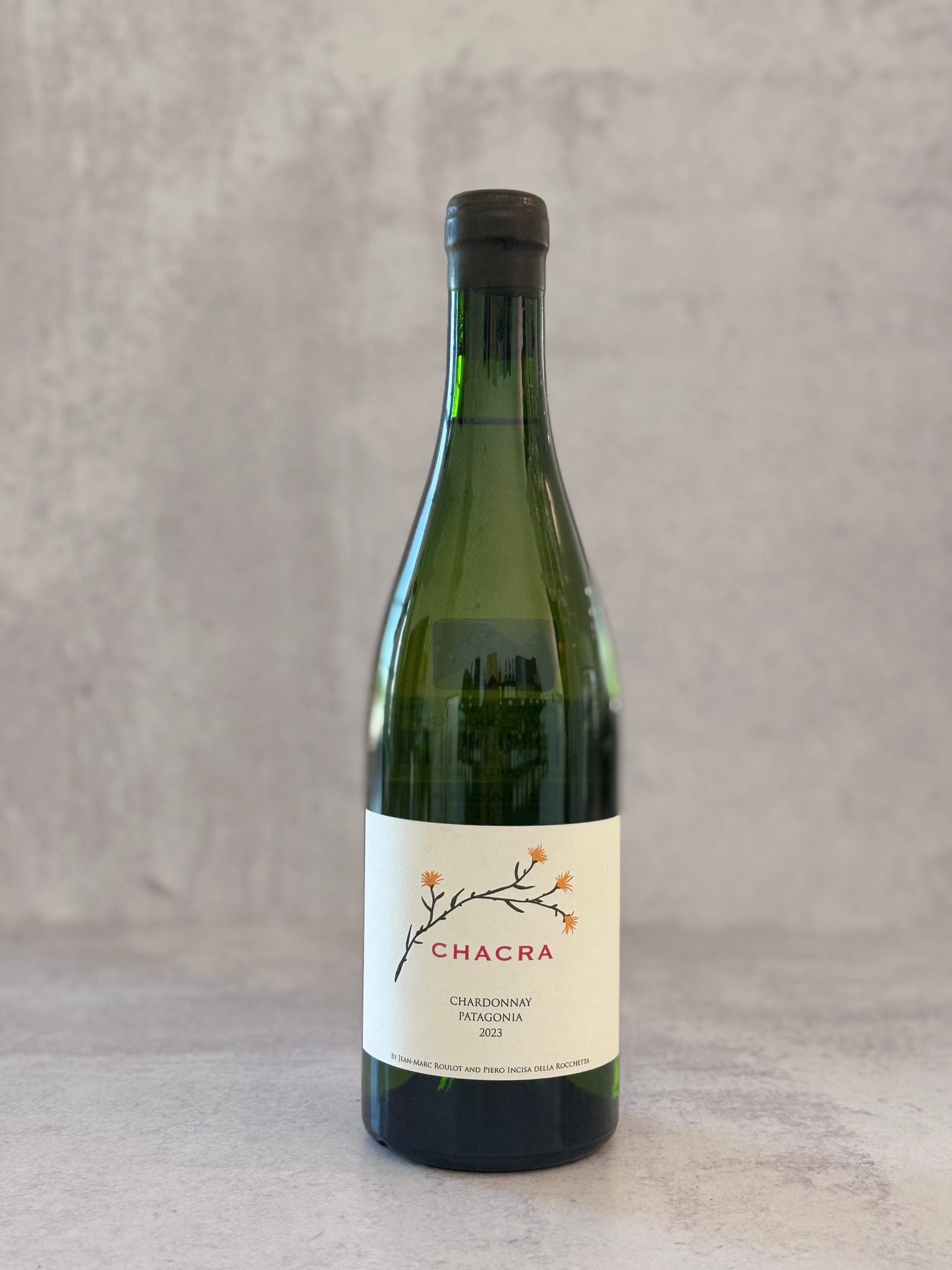 2023 Bodegas Chacra, Chardonnay