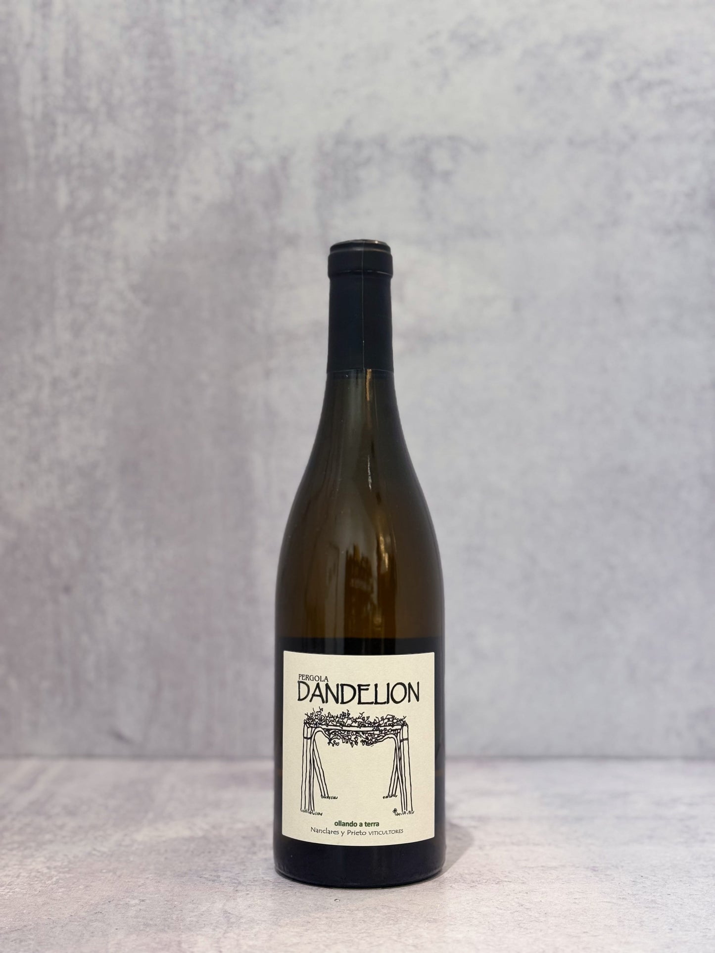 2025 Alberto Nanclares, Rias Baixas ‘Dandelion’ Albarino
