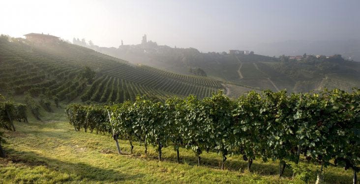 FREE Tasting Table: VIETTI Wines with Marco