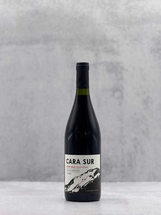 2022 Cara Sur, Bonarda Tinto Calingasta