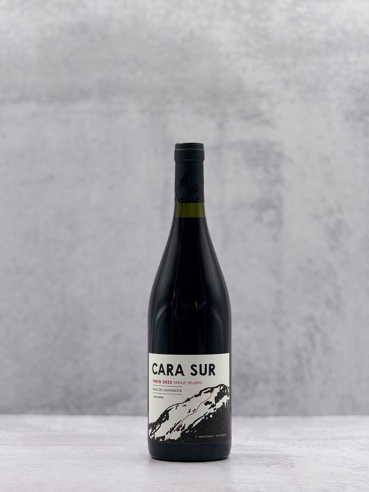 2022 Cara Sur, Bonarda Tinto Calingasta