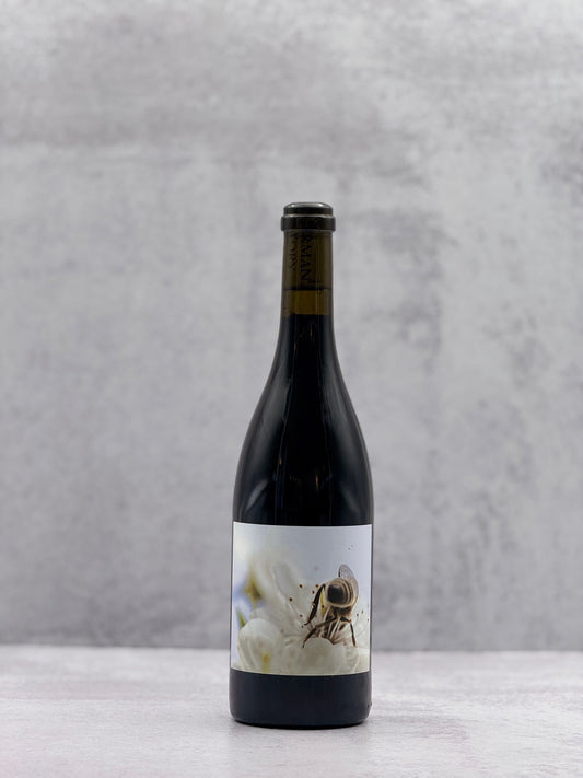 2020 Herman Story, Casual Encounters, Red Blend