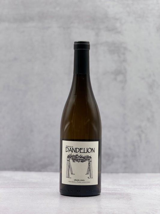 2023 Alberto Nanclares, Rias Baixas ‘Dandelion’ Albarino