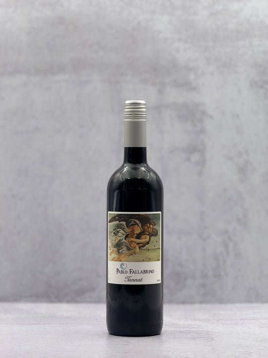 2020 Bodega Pablo Fallabrino, Tannat