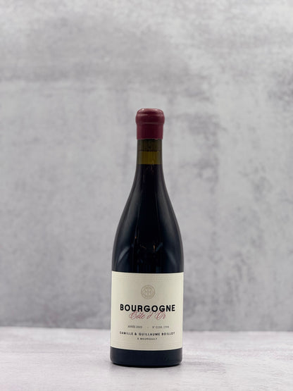 2023 Camille & Guillaume Boillot, Bourgogne Cote d’ Or