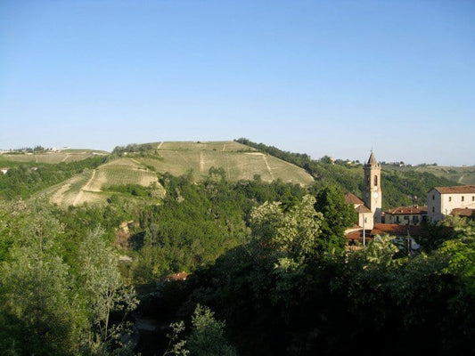Exploring Italian Wines