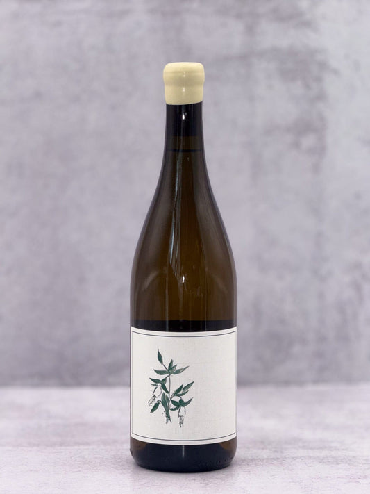 2023 Arnot-Roberts, 'Trout Gulch Vineyard' Chardonnay