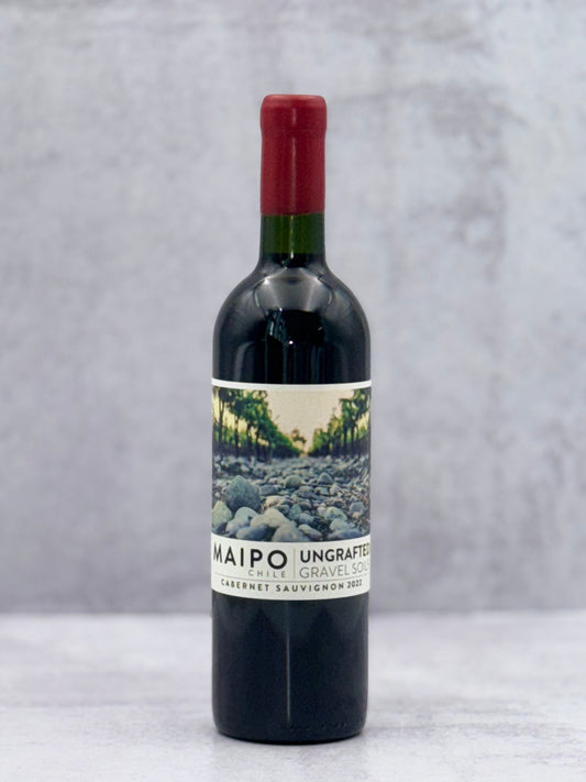 2022 Ungrafted, Cabernet Sauvignon Valle Del Maipo