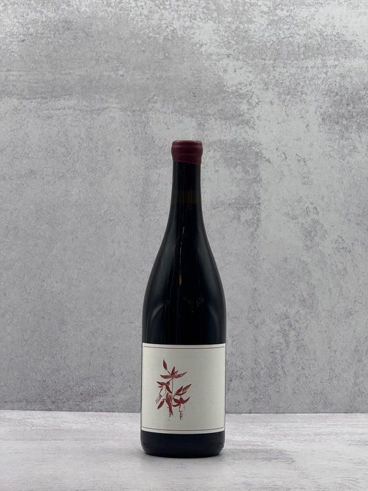 2023 Arnot-Roberts, Syrah