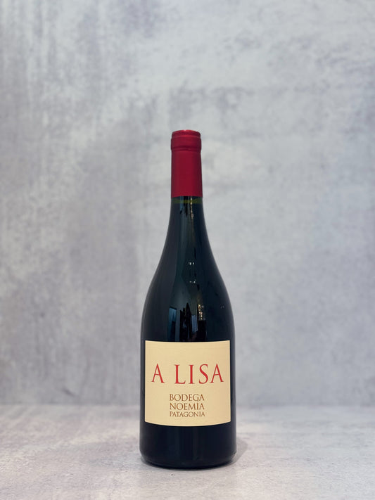 2023 Bodega Noemia Malbec A Lisa
