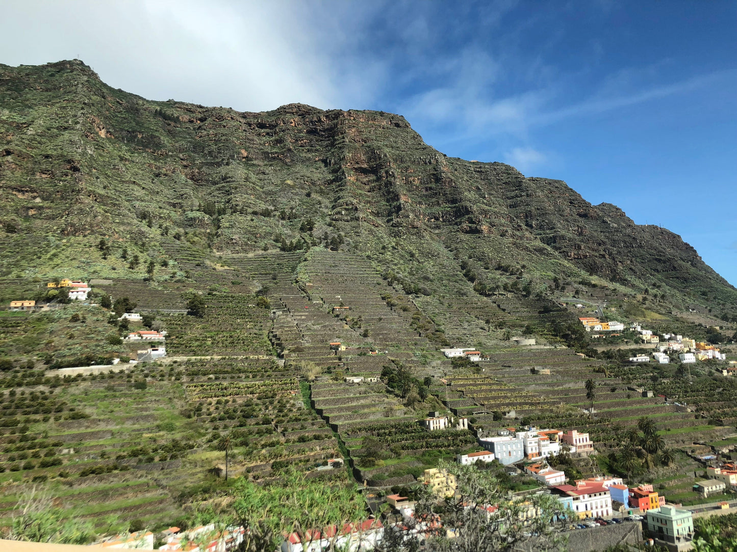 Island Wines: Sicily, Sardinia, Canary Islands, Corsica + more!