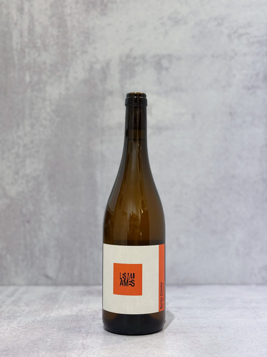 2025 Domaine Bertin Delatte 'Les Mal-Aimes'