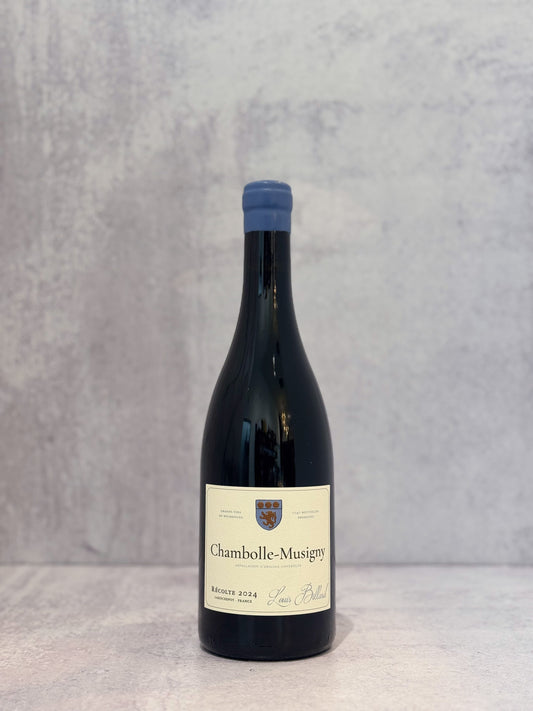 2024 Louis Billard Chambolle-Musigny