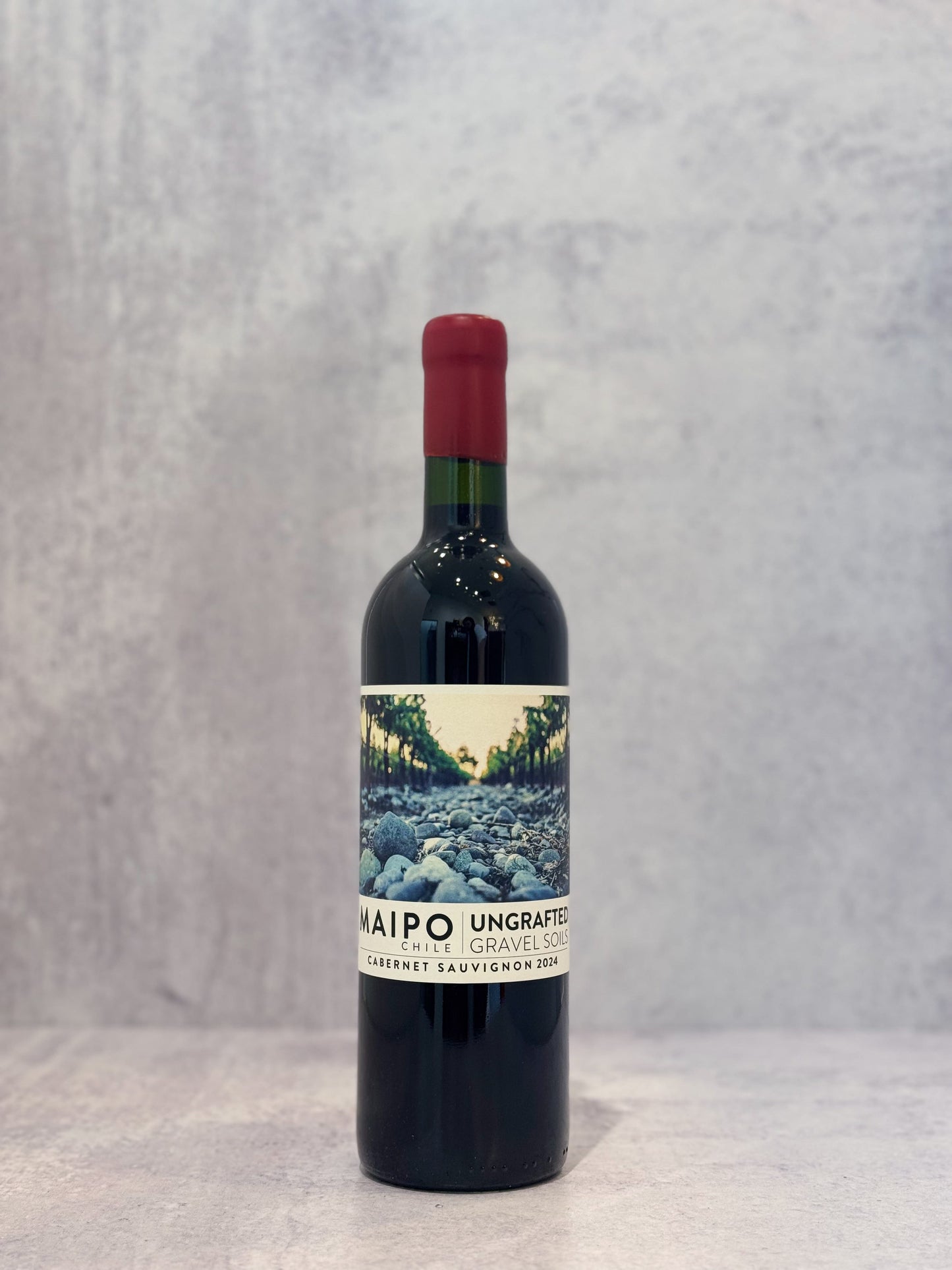 2024 Ungrafted, Cabernet Sauvignon Valle Del Maipo