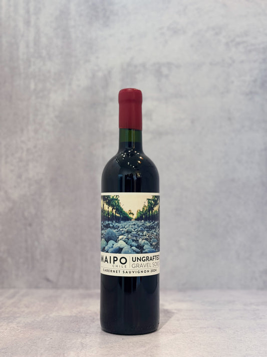 2024 Ungrafted, Cabernet Sauvignon Valle Del Maipo